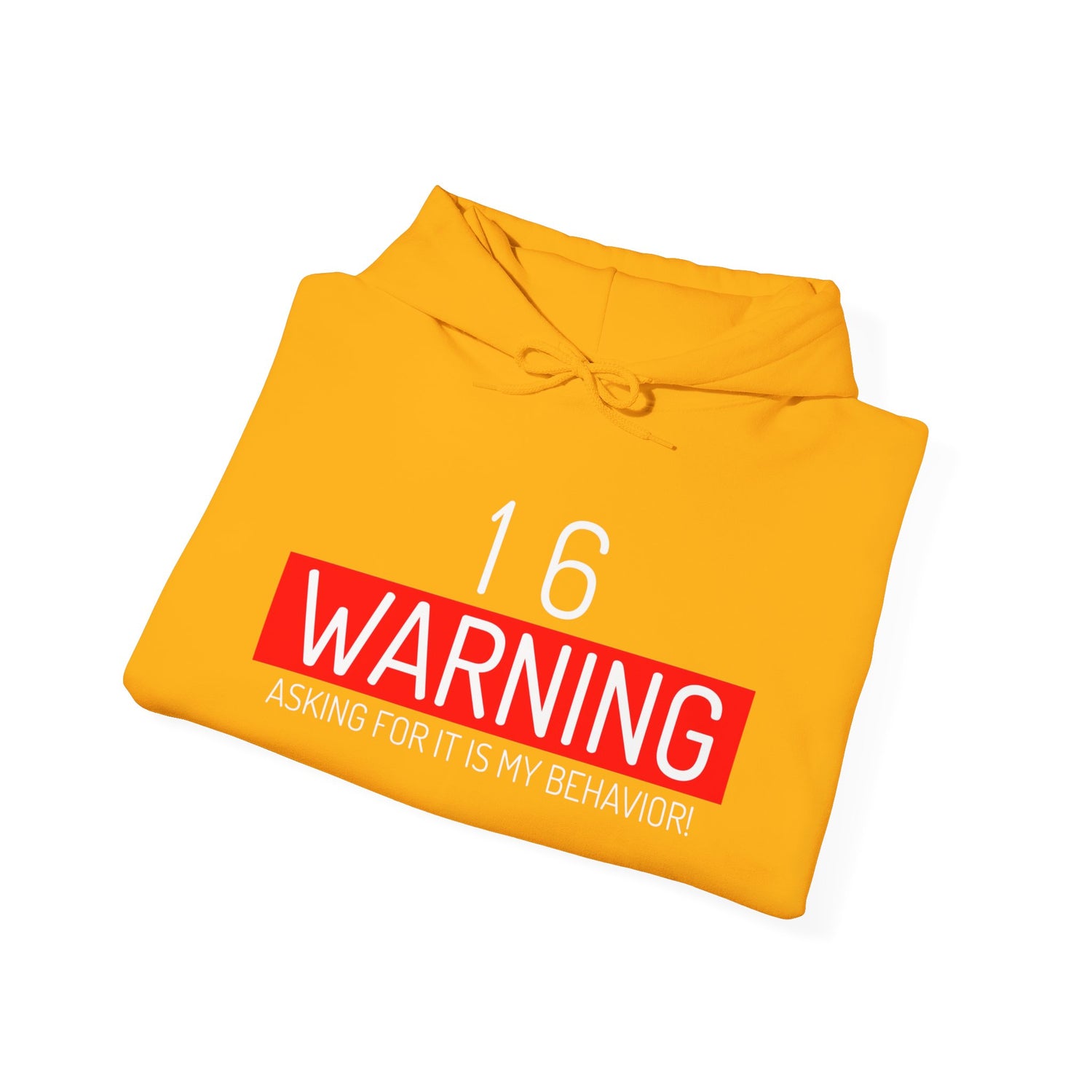 16 Warning Unisex Heavy Blend™ Hooded Sweatshirt