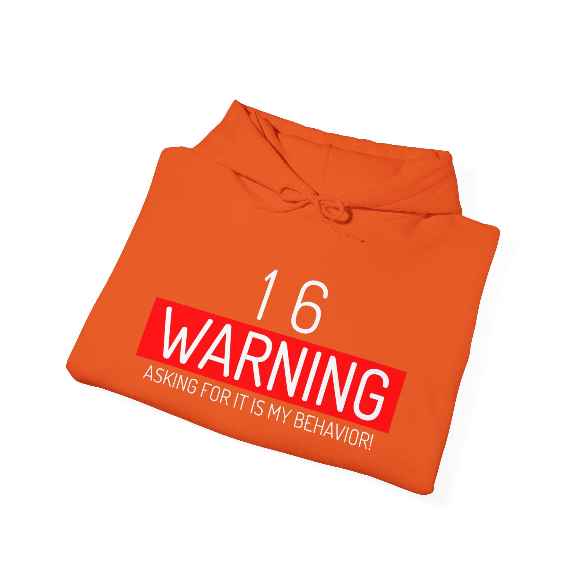 16 Warning Unisex Heavy Blend™ Hooded Sweatshirt